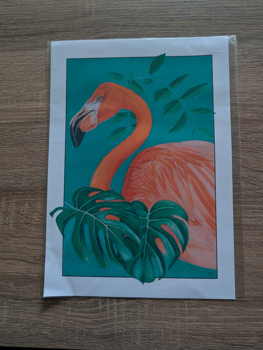 A4 Print - Flamingo