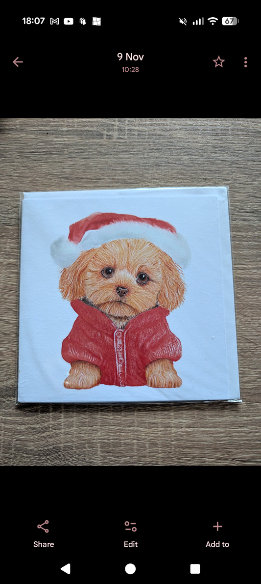 Greeting Card - Cockapoo