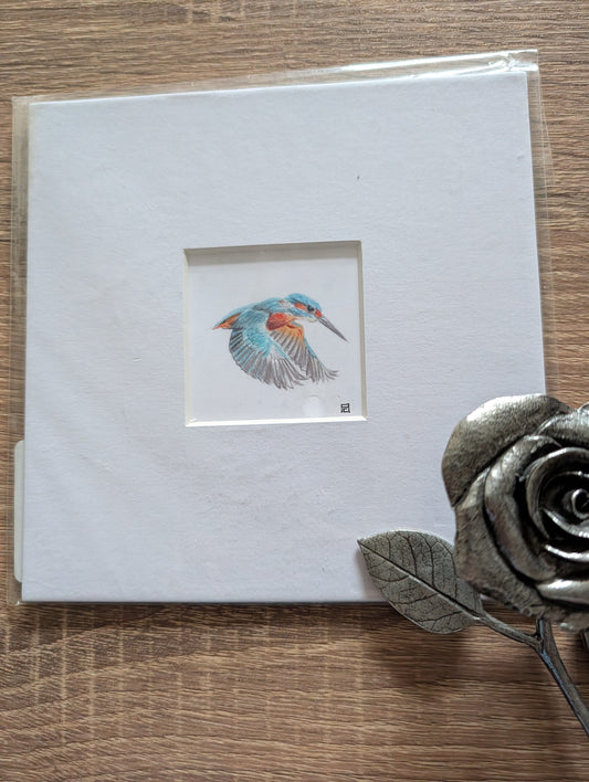 Mini Print - Kingfisher