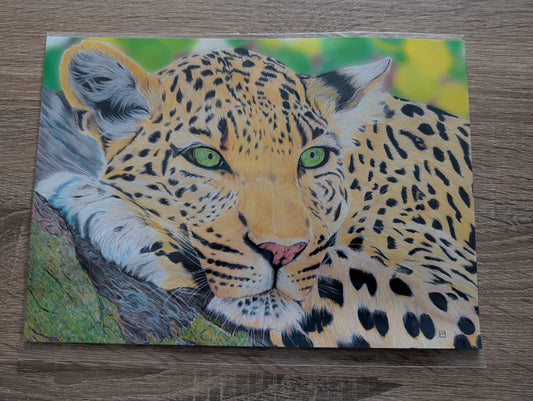A4 Print - Leopard