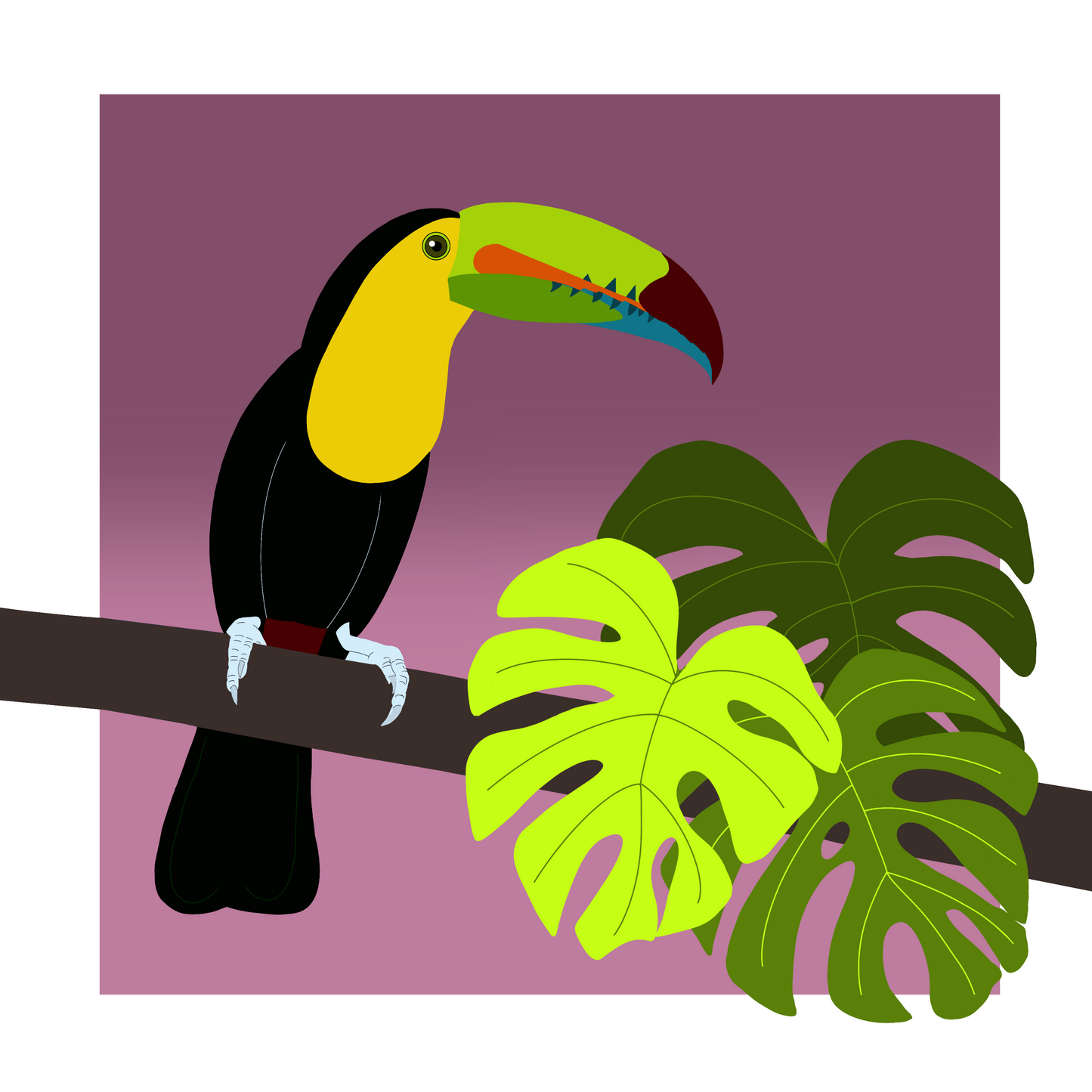 Square greeting card  - Toucan